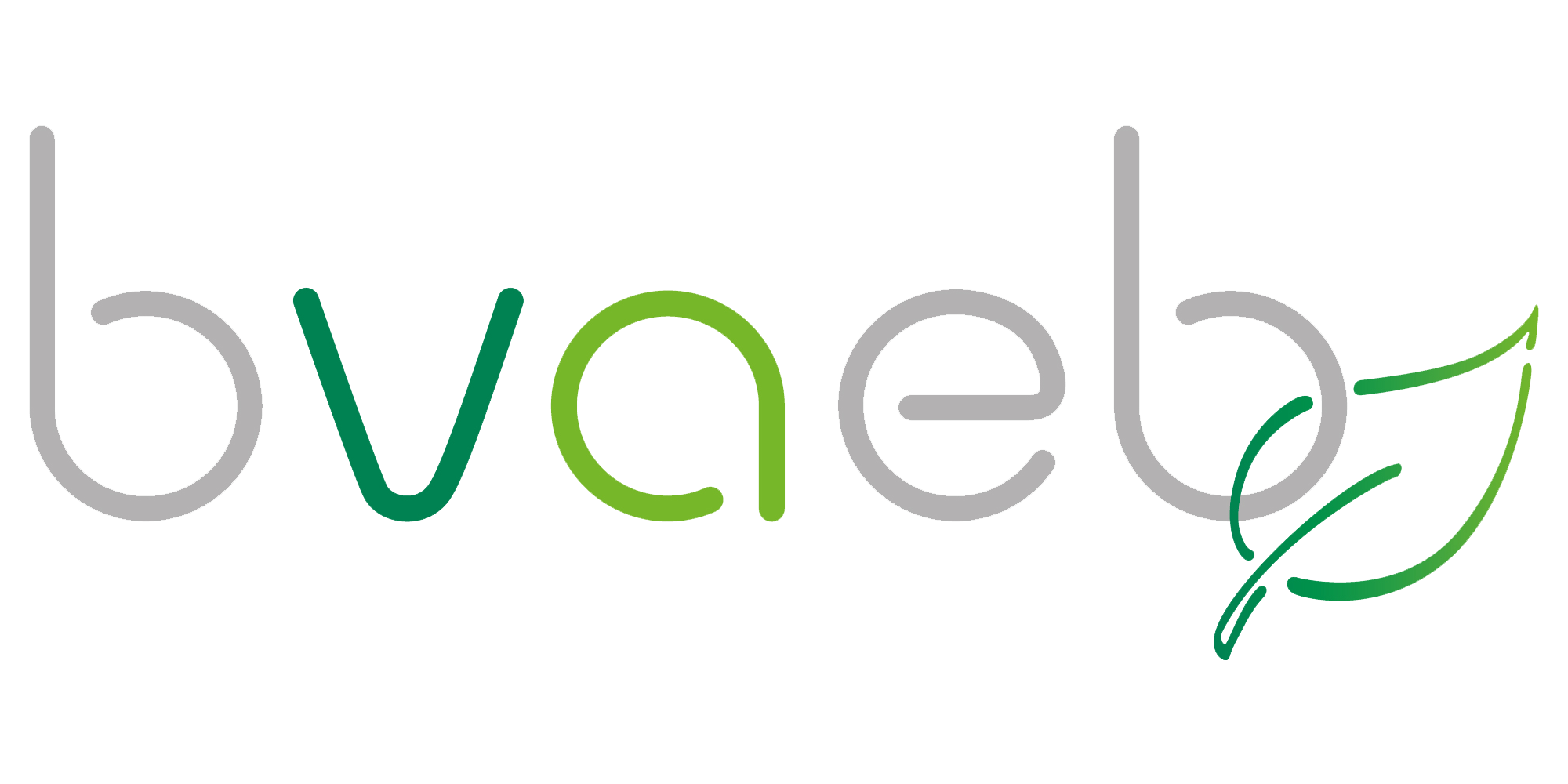 Logo BVAEB